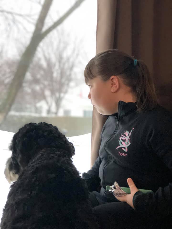 Goldendoodle in MN looking out window